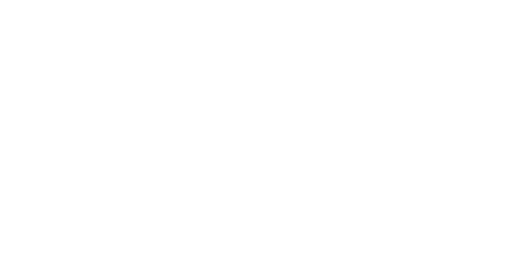 Rapidex Delivery